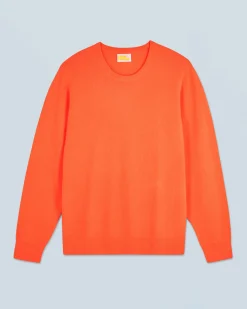 Basic Crew Neck Sweater