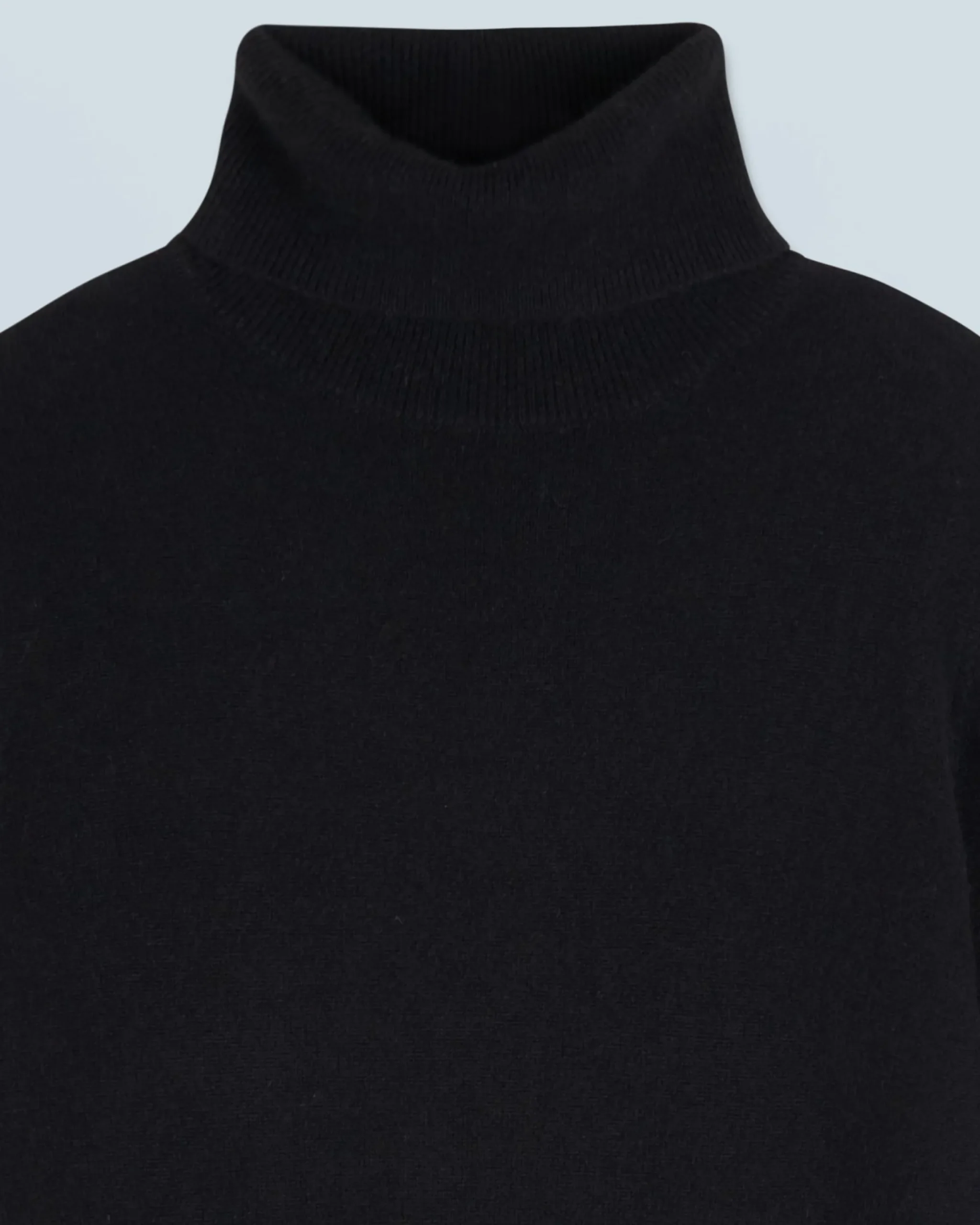 Basic Turtleneck Sweater