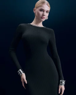 Long Sleeves Long Dress
