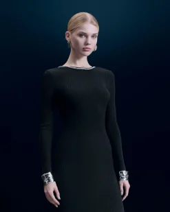 Long Sleeves Long Dress