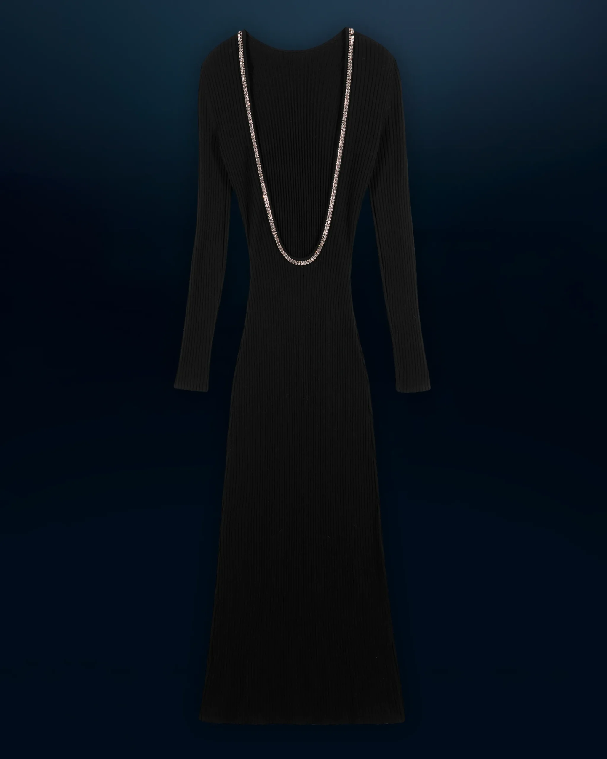 Long Sleeves Long Dress