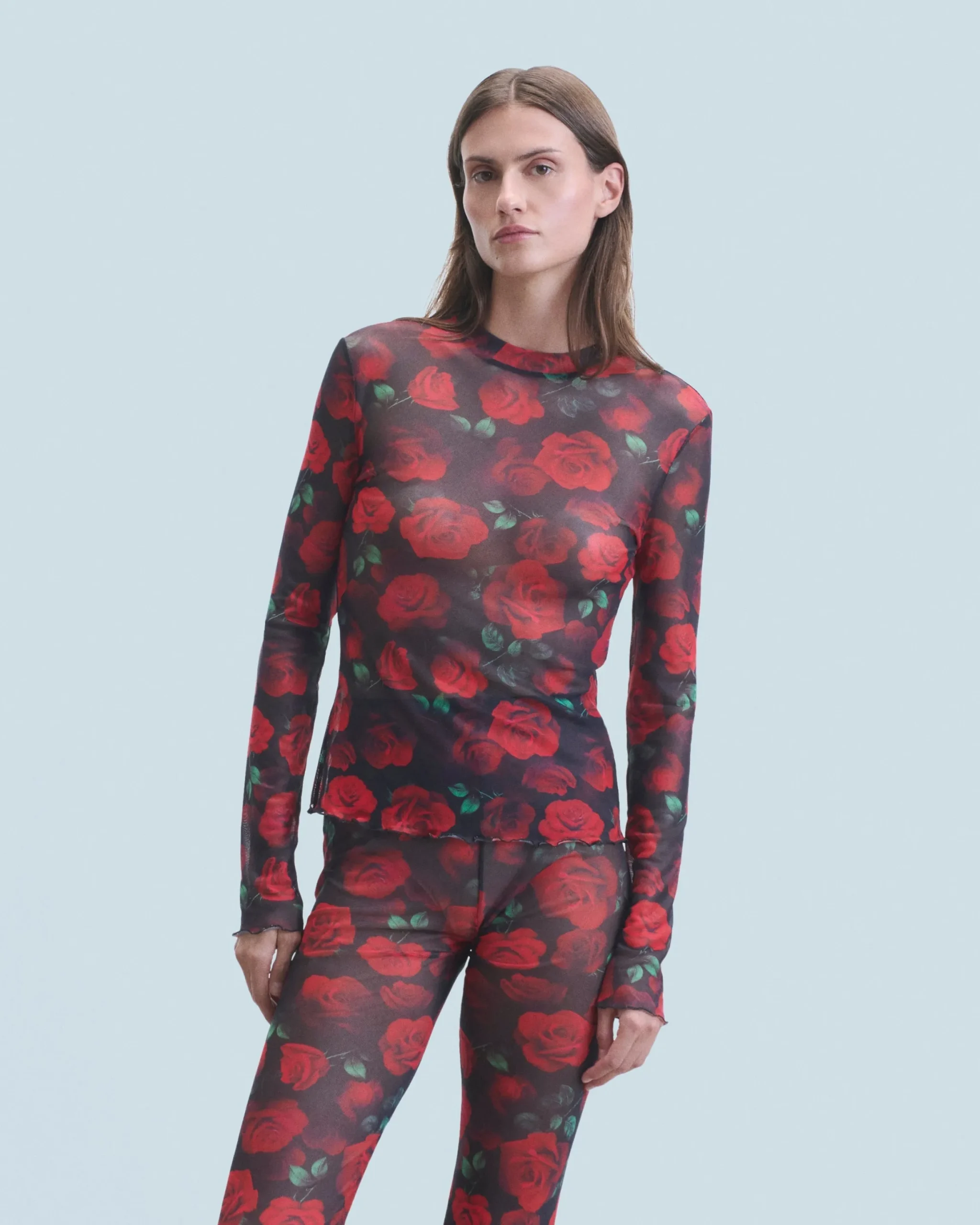 Mesh Long Sleeve Top