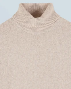 Thick Basic Turtleneck Sweater