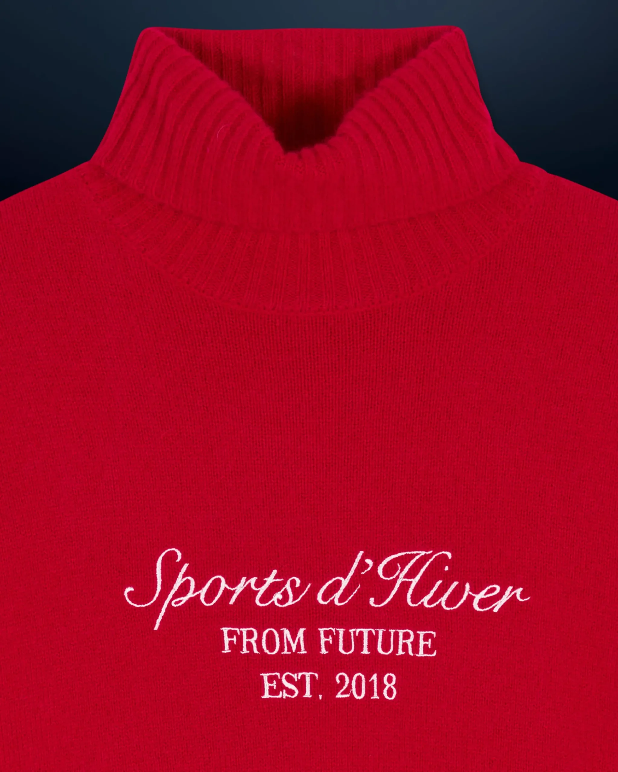 Turtleneck Sweater